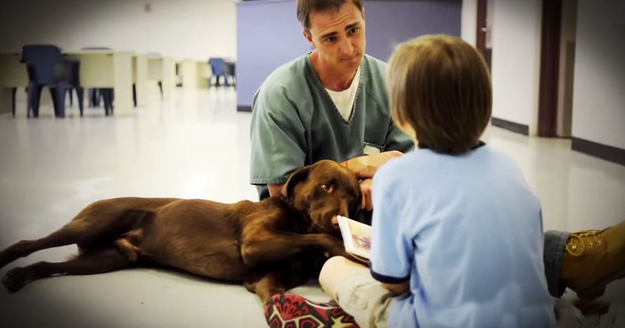 Prisoner Trains Service Dogs For Children With Autism