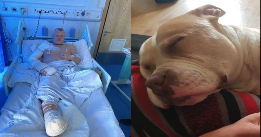 Devoted Dog Pays The Ultimate Price And Saves His Beloved Human From A Fire