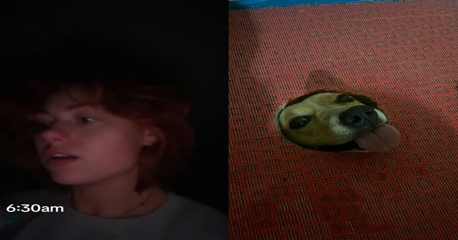 Woman Walks Into Bathroom & Is Shocked to Find a Stranger's Dog with Its Head Stuck in the Floor