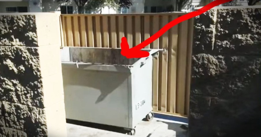 Baby Rescued From A Dumpster Gets Beautiful Ending