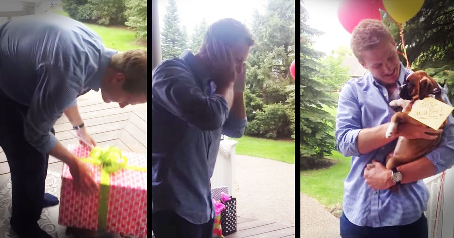 Boyfriend Gets Surprised With Boxer Puppy