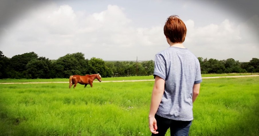 Teenage Boy Battling Depression Finds Joy In A Wild Horse