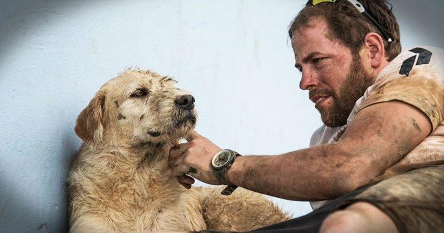 Dog Follows Team Though Thick And Thin. And Gets The Triumphant Ending He deserves!