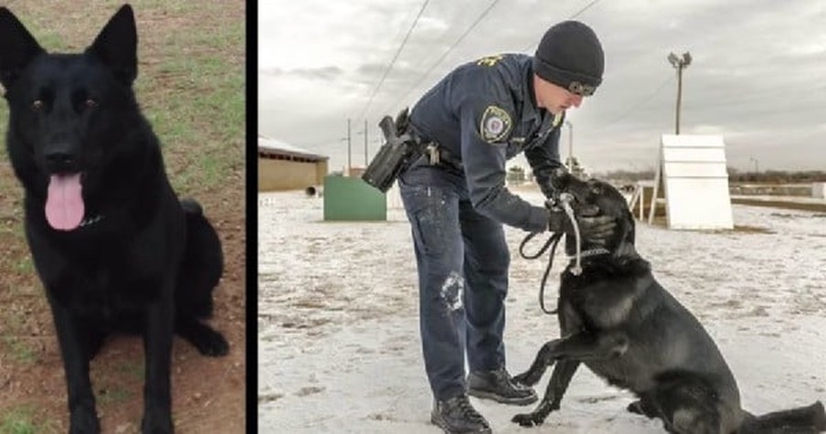 When You See What Officers Did For This Fallen Hero You'll Be Stunned. Get Your Tissues Ready!