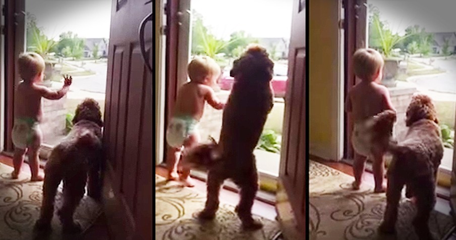 Dad Gets Welcomed Home By Baby Boy And Dog