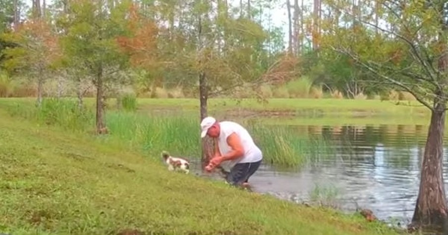 Cameras Caught The Intense Moment A Man Wrestles Alligator To Save His Puppy