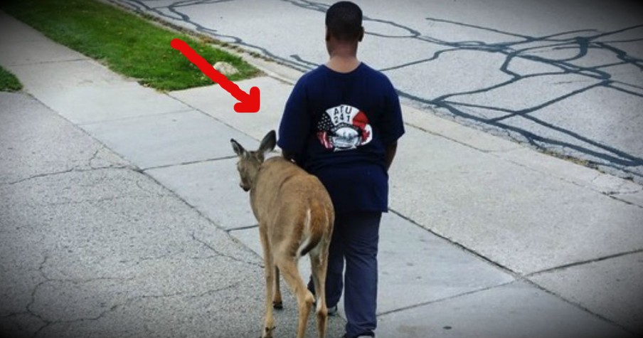 10-Year-Old Boy Shows Incredible Compassion To A Blind Deer