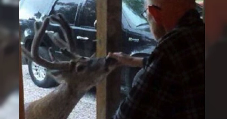 Her Dad Was Dying, And God Sent A Deer As A Special Messenger