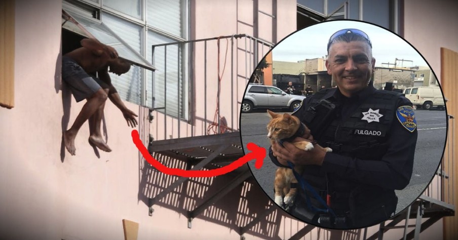 His Beloved Cat Kept This Man From Ending His Life