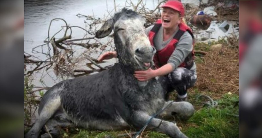 This Donkey Thanks His Brave Rescuers With A Grin