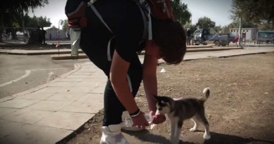 This Boy Had To Run For His Life. But He Refused To Leave HER Behind!