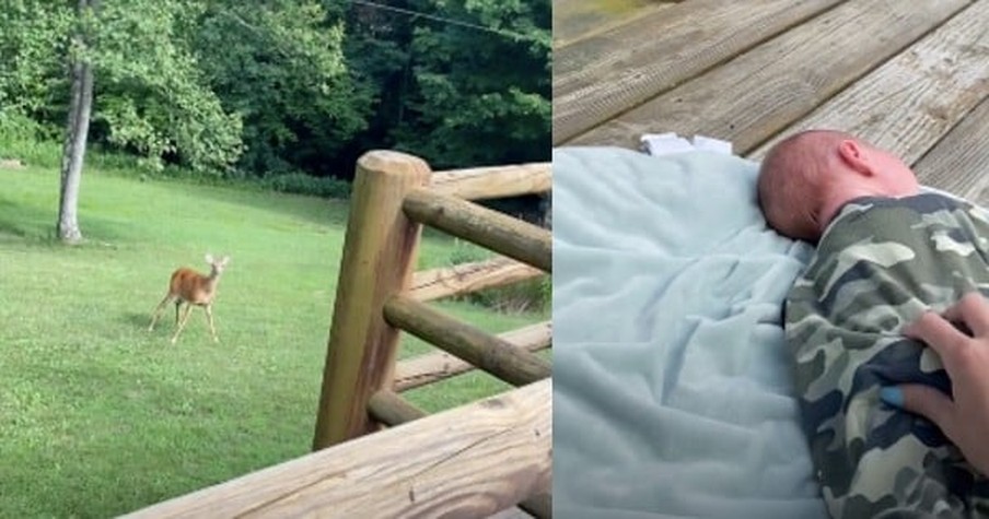 Newborn Baby Starts Crying Outside And A Momma Deer Comes Running To Check On Him