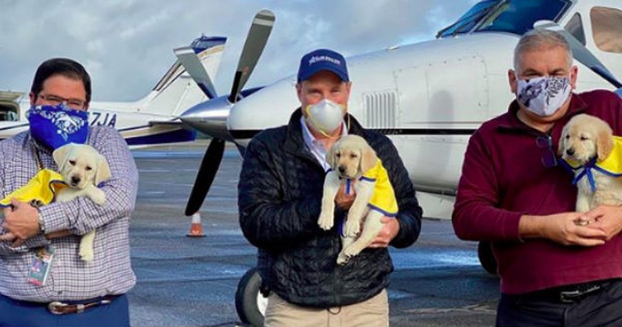 400 People Waiting for Service Dogs Get Help from Pilots Volunteering to Deliver Puppies