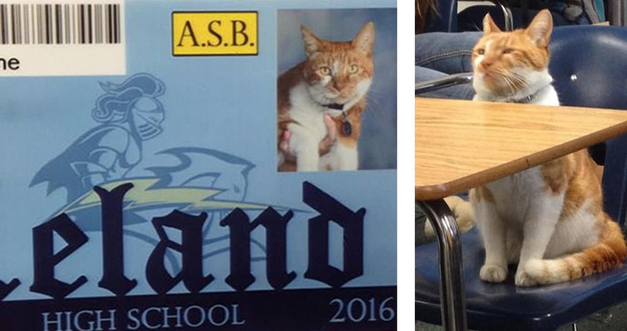 5 Pictures That'll Give You A Whole New Look At 'Back To School' - LOL