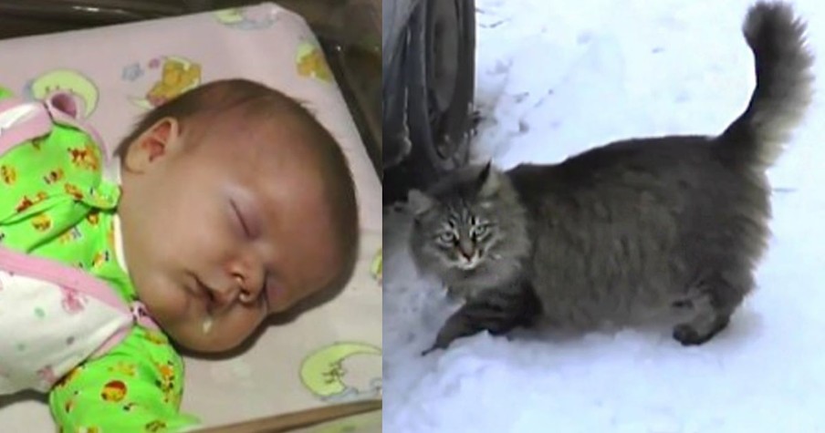 Abandoned Baby Left To Die Until God Sent a Heroic Cat to Save Him