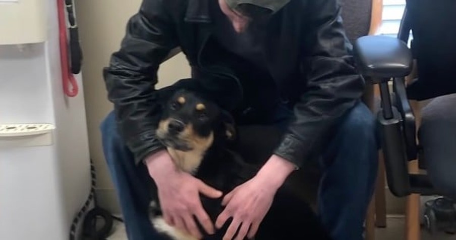 Teen Surrendered Dog He Loves After Becoming Homeless But Then Strangers Step In