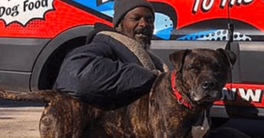 16 Dogs And Cats Are Safe Because Of The Homeless Man Who Ran Into A Burning Building