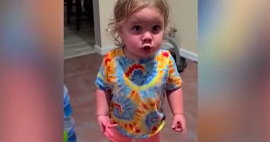 Stubborn Toddler Argues With Mom And Dad Even Though She's Been Caught Red-Handed