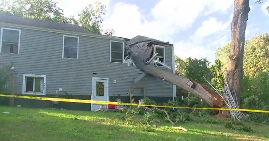 Woman Leaves Bedroom To Head Downstairs And Moments Later, A Tree Crashes Into House