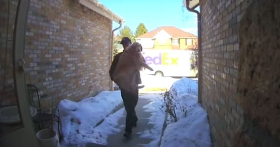 FedEx Driver Knew Where To Take A Lost Dog He Found & Security Cams Caught The Sweet Rescue