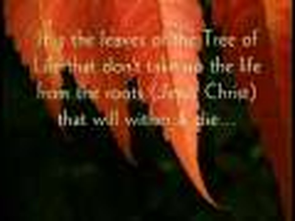 Jesus Christ - The Tree of Life