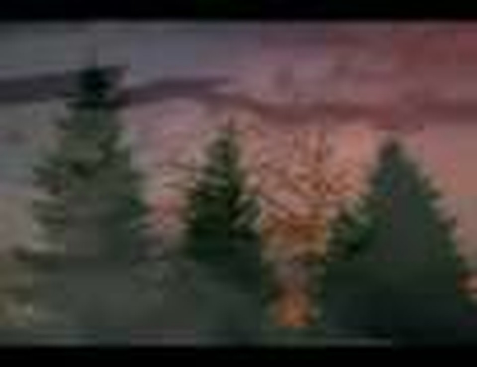 The Tallest Tree (A Christmas Video)