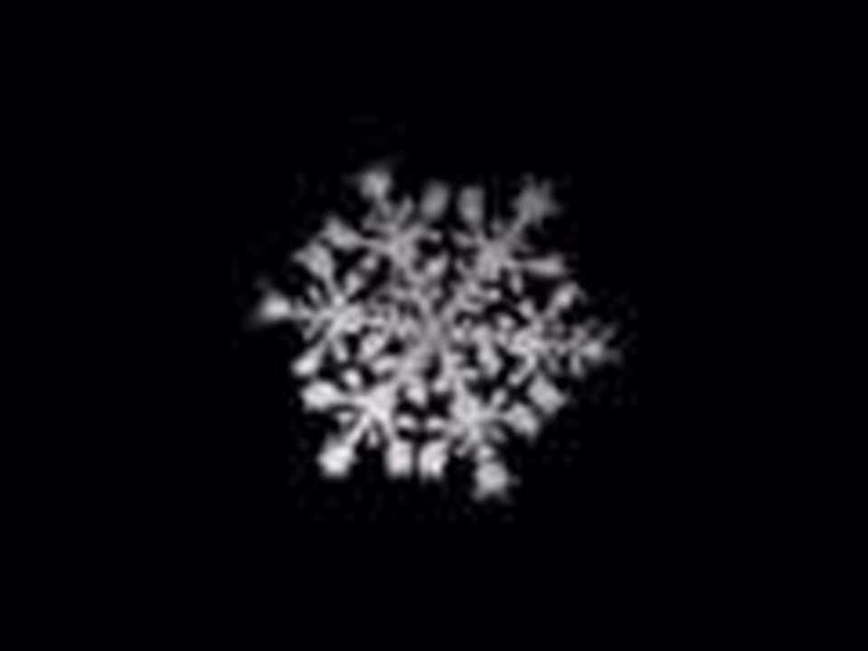 The Beauty of Snowflakes