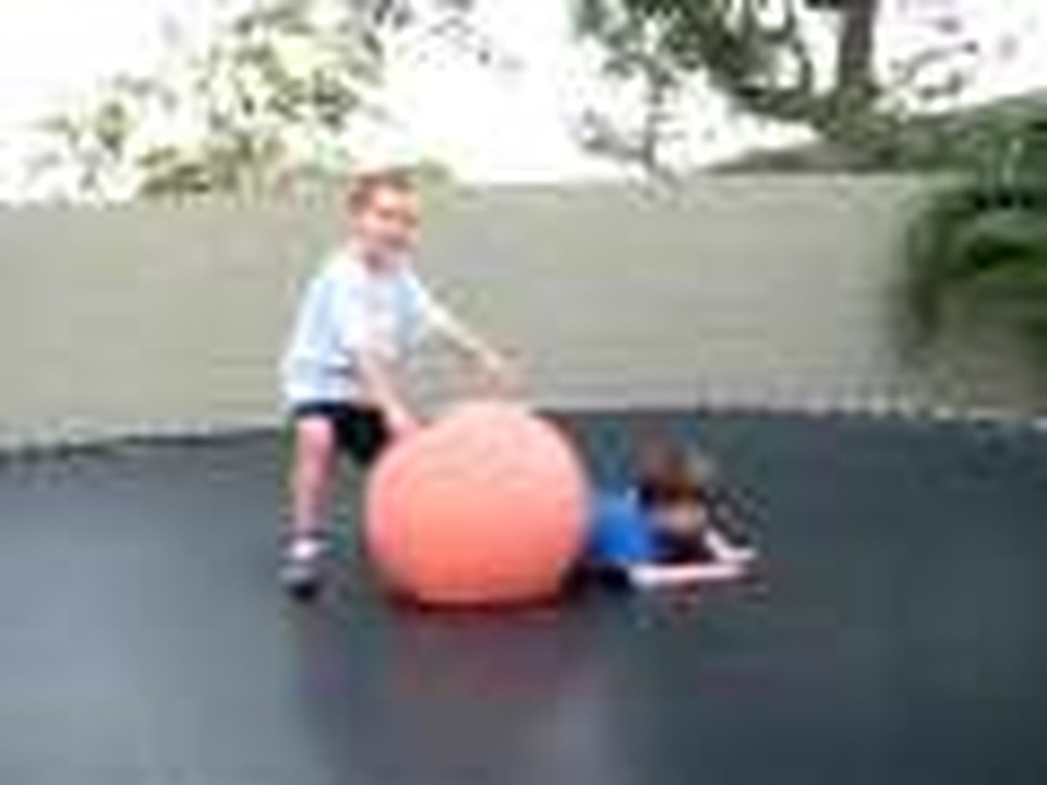 Stewart Boys Flipping