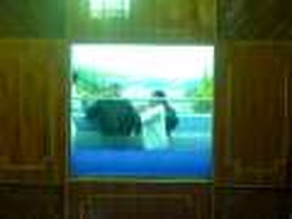 My Baptism