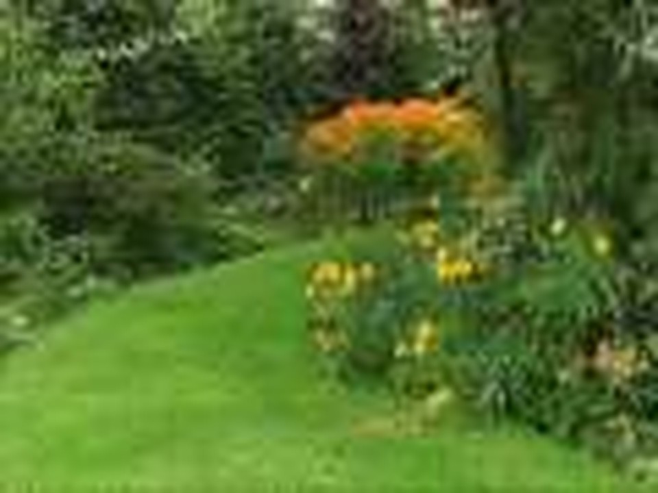 SLIDESHOW OF GARDEN