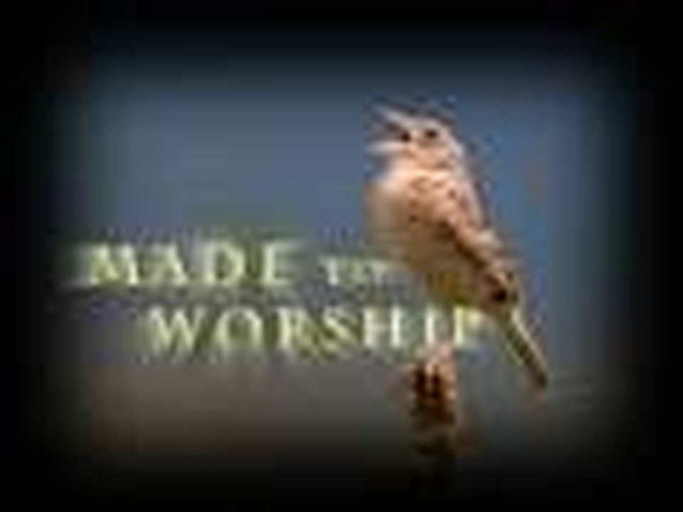 Made to Worhip