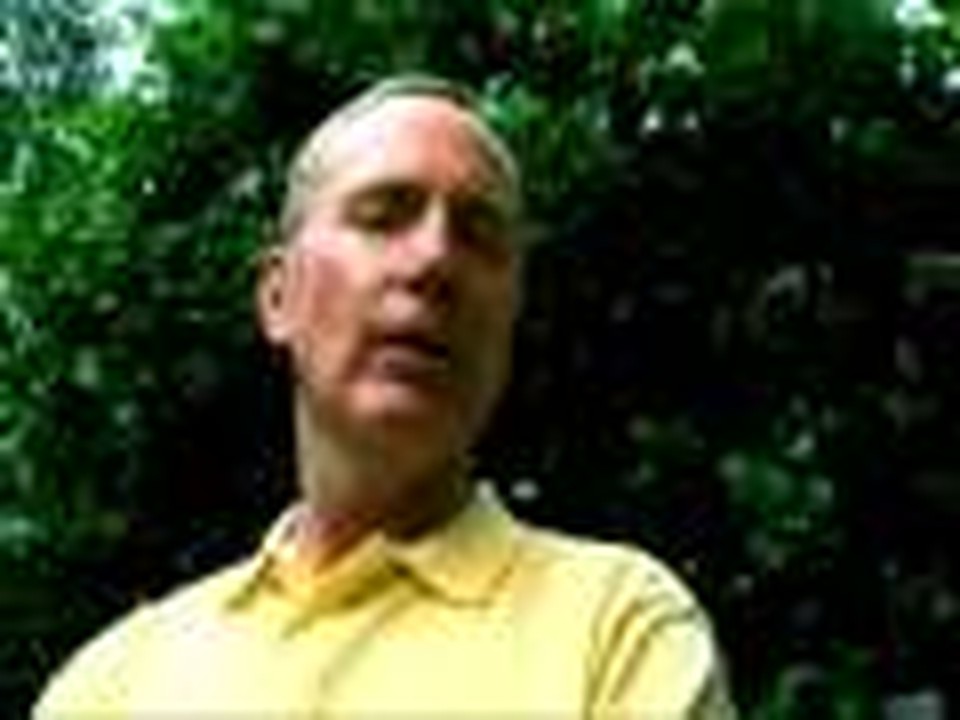 Buzby and the Grumble Bees