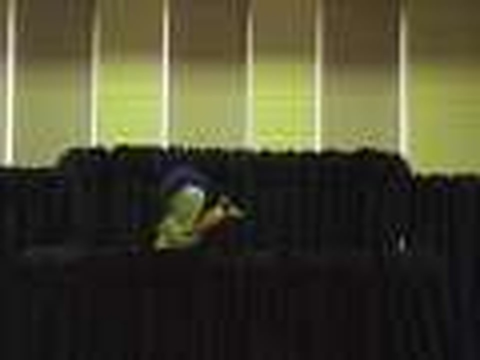 Big Big House puppets