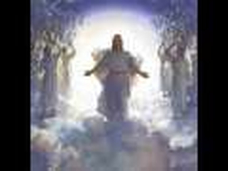 Rejoice