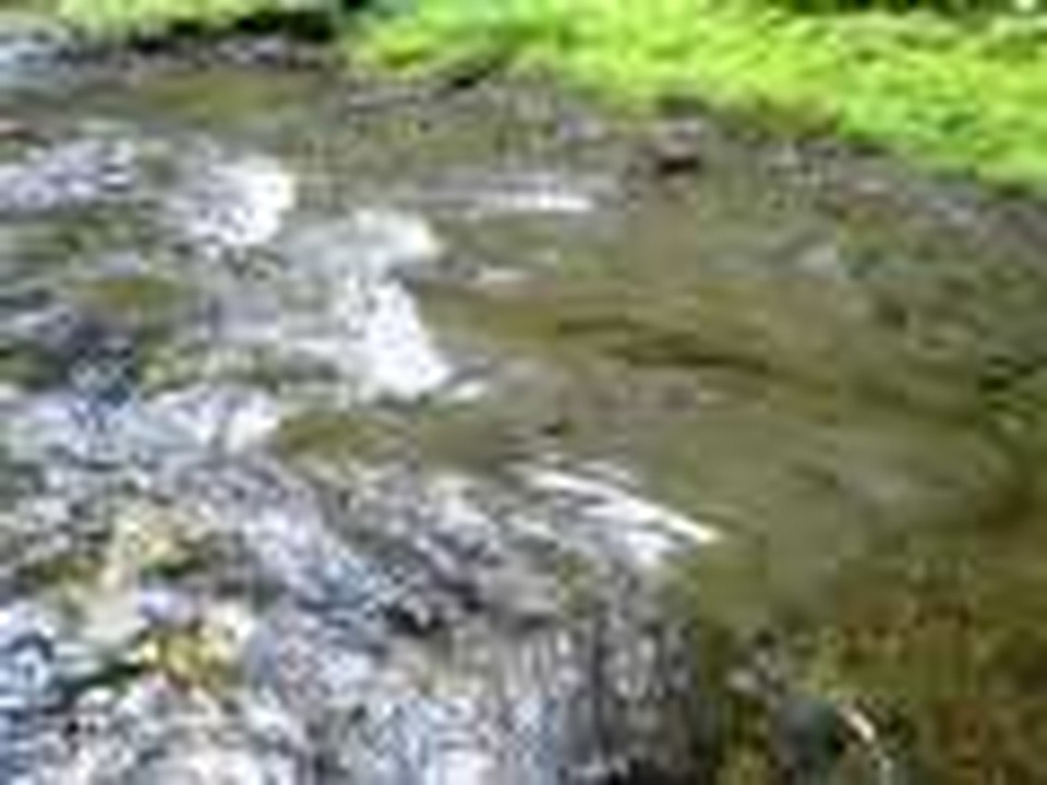 Stream