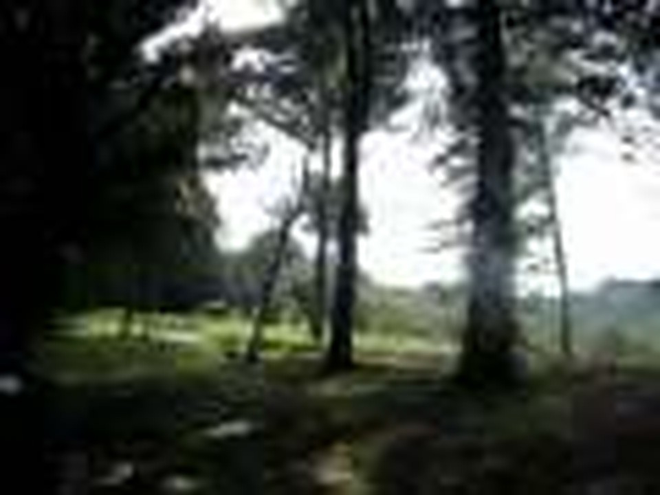 Campamento Roblealto