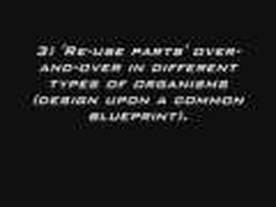INTELLIGENT DESIGN ( A TESTABLE TEORY)