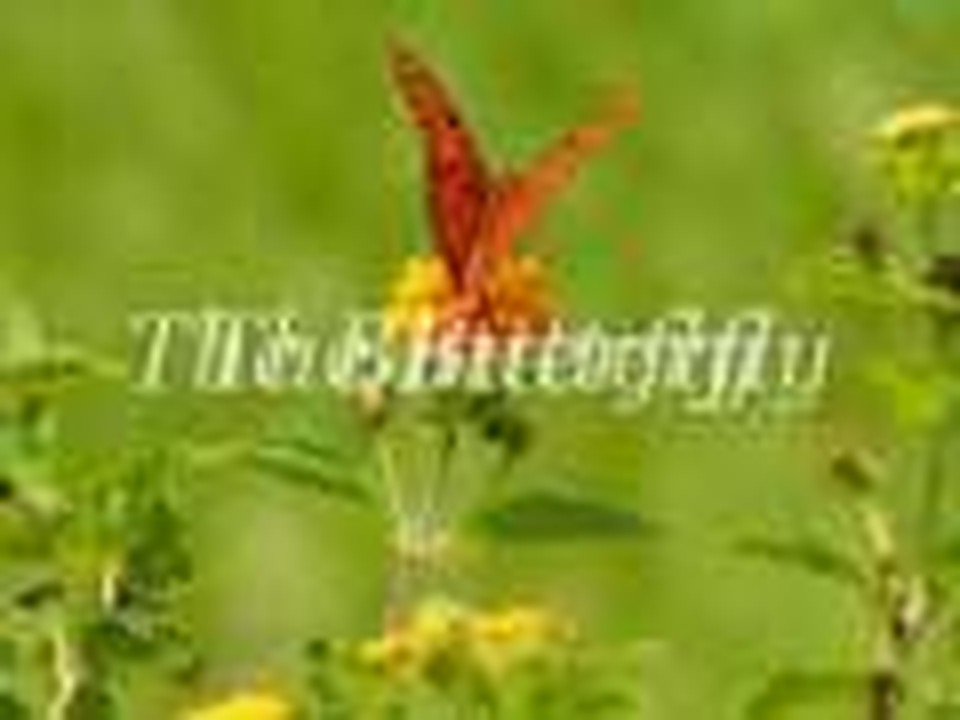 Glory of the Lord in all creation