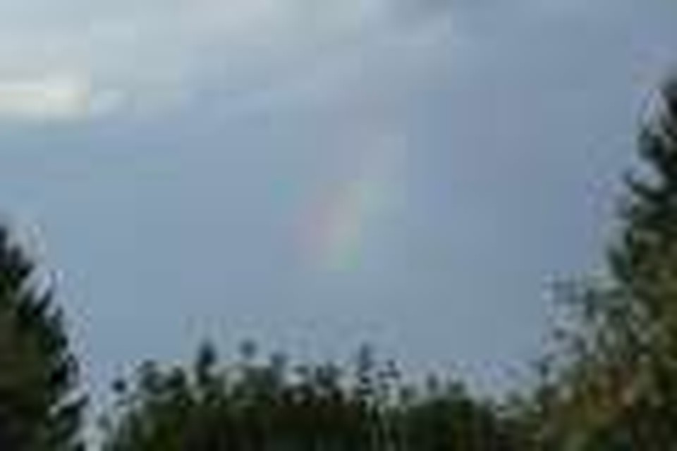 Rainbow