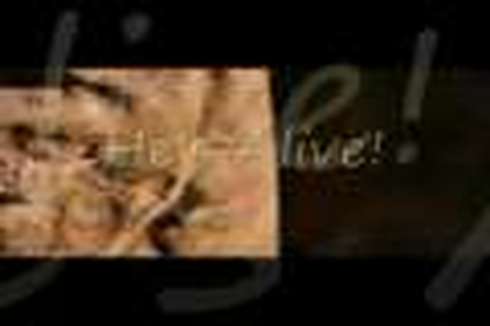 He's Alive! (chorus only) - We're Forgiven