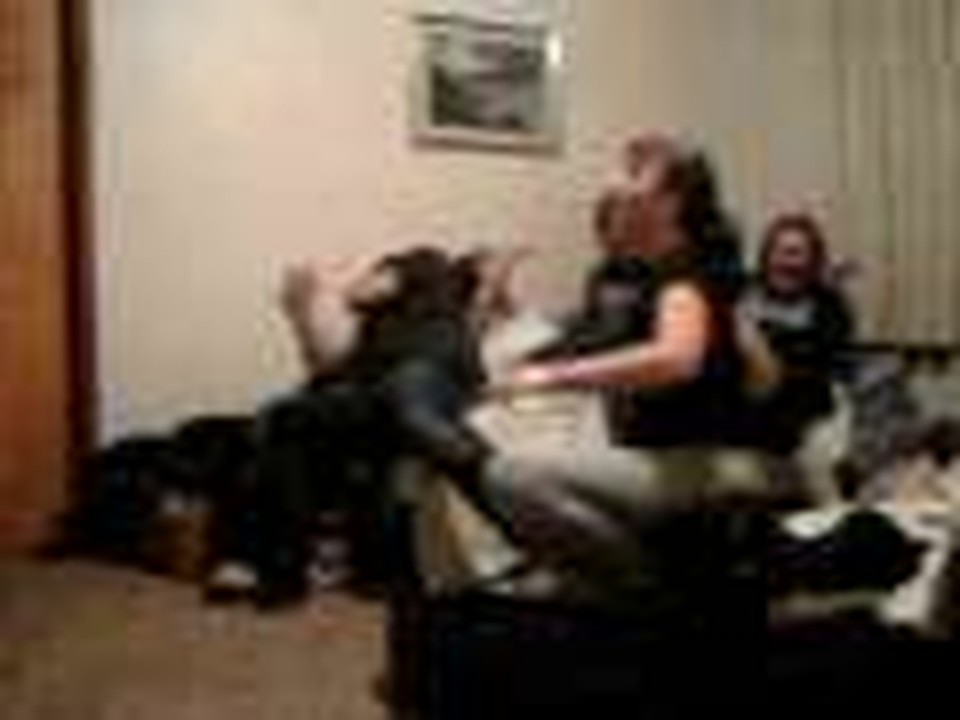 Its called a Brawl