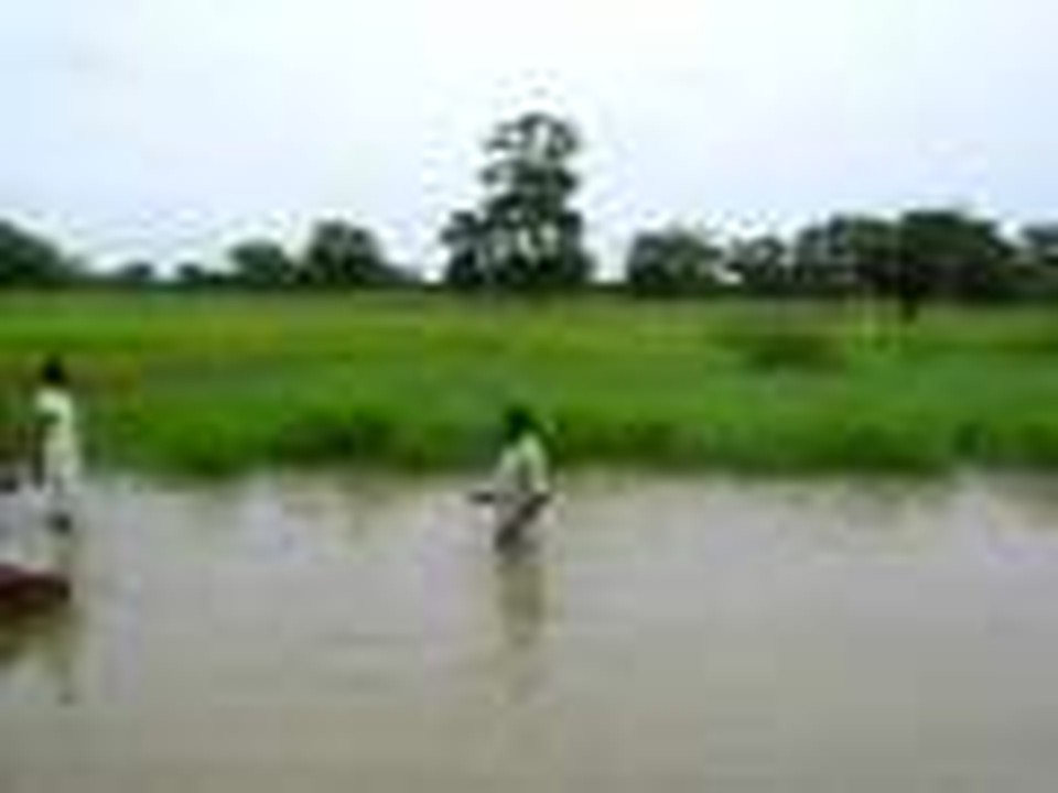 Baptism in a rain filled Rice Paddy by the road side