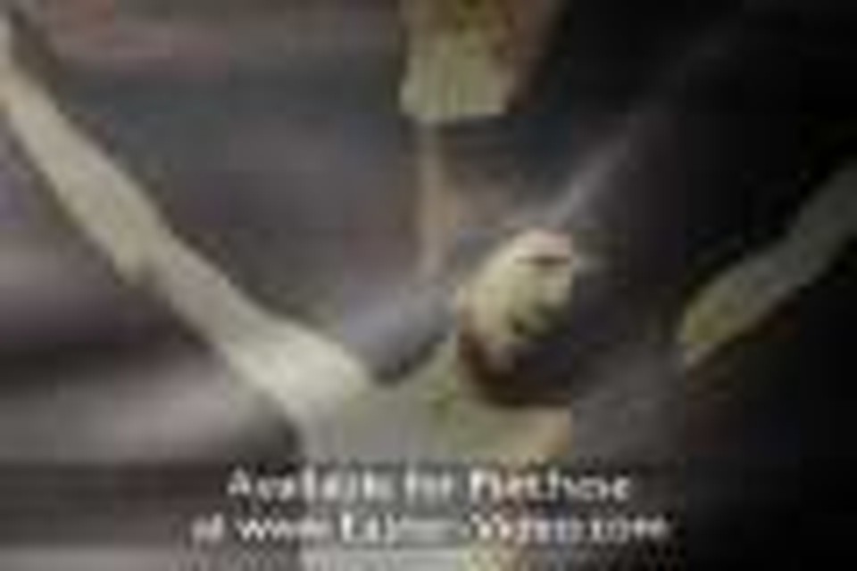 Christ's Crucifixion Video 2 (Classic Cross Loop 2)
