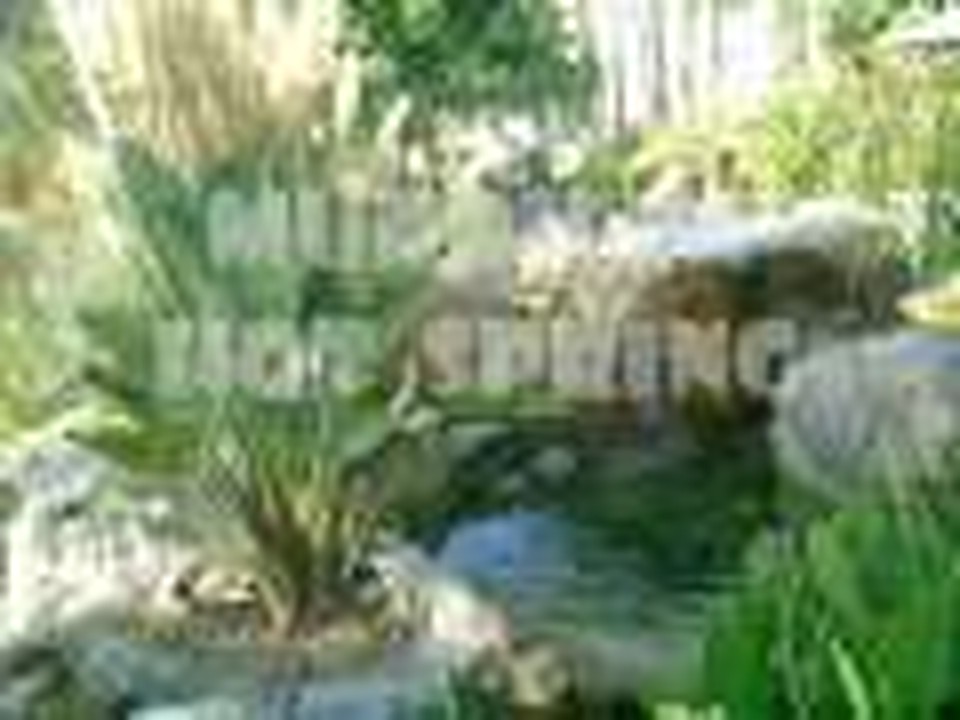 Retiro Ebenezer 2008