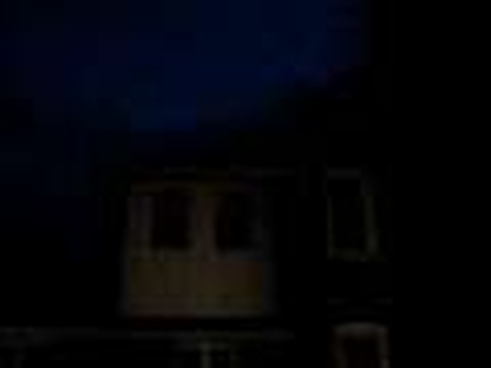Bat Activity