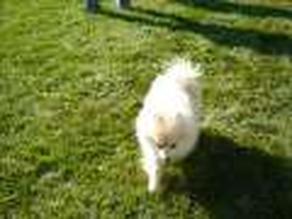 Kids Fest 2007 Slideshow