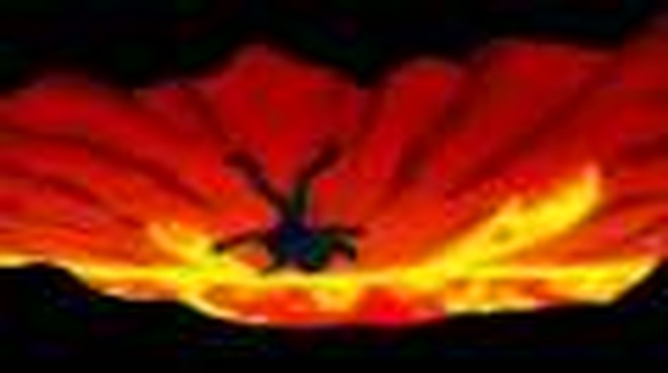 Hawk Nelson Take Me (Acustic Version)