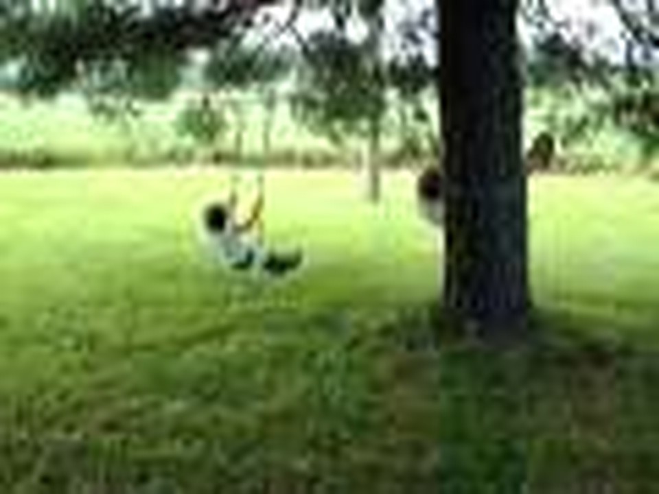 Thomas and Hope swinging