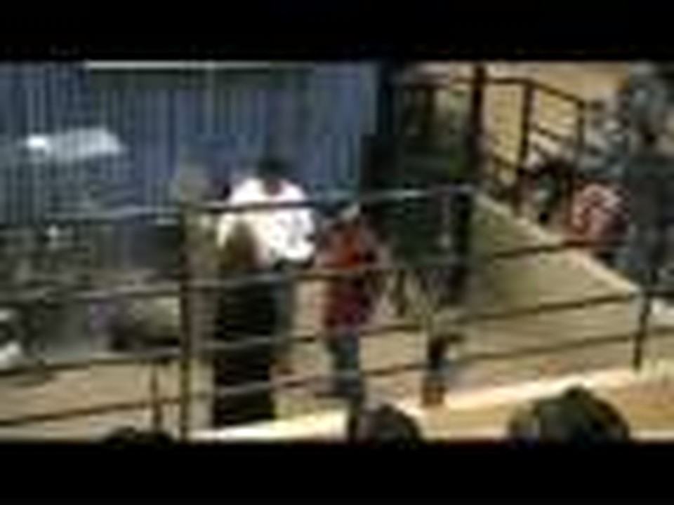 A Stockyard Wedding