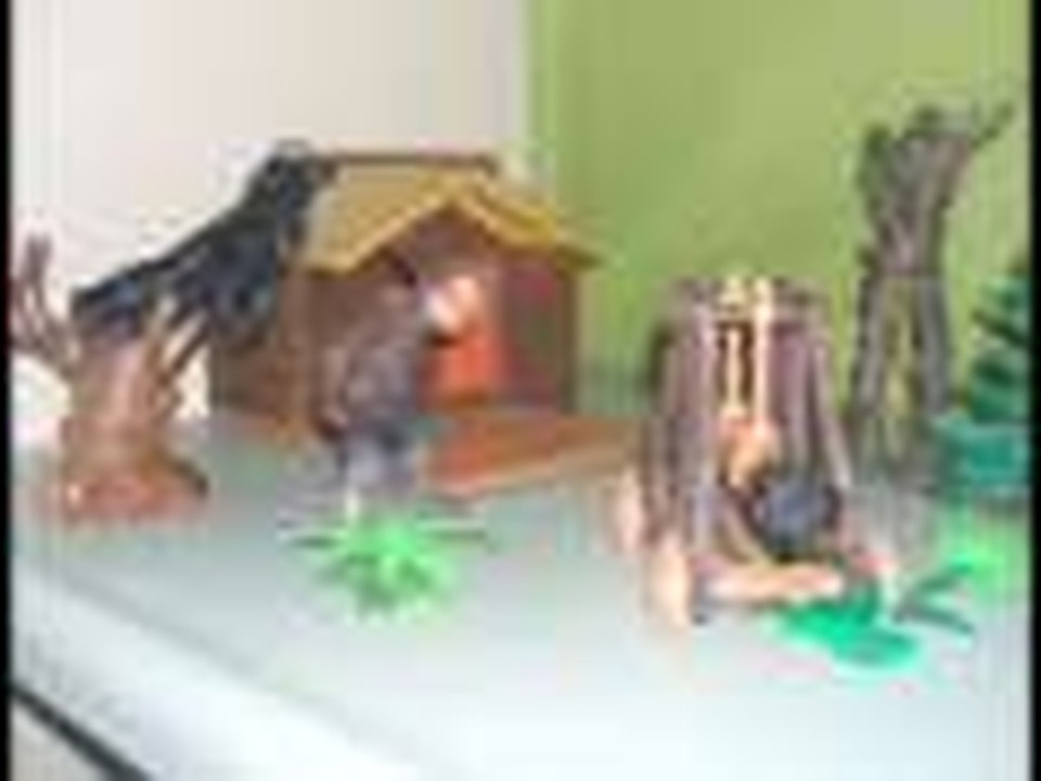 funny Lord of the Rings